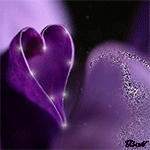 www_lady_3d_blogfa_com_Purple_33_