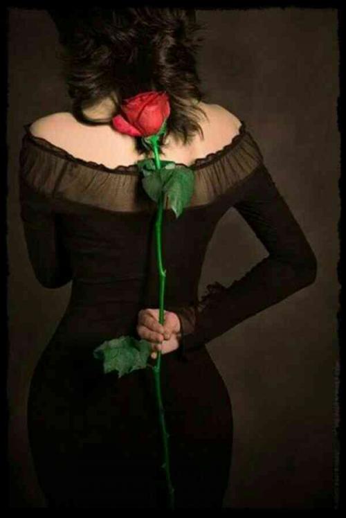 ای خانم مشگی پوش ایستاده ویک گل سرخ در دستت داری
